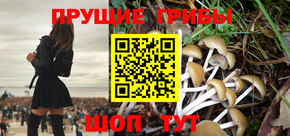 Псилоцибиновые грибы GOLDEN TEACHER  Вход с VPN  Тобольск 